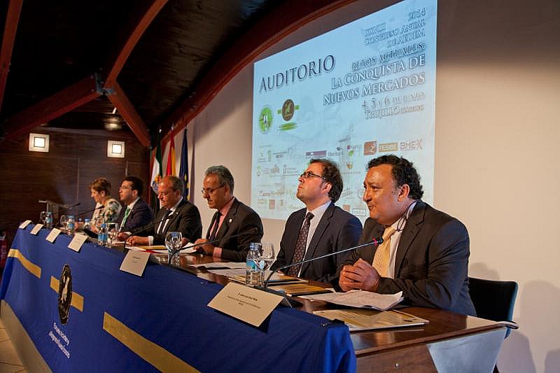 XXVIII Congreso Anual de AEDEM
